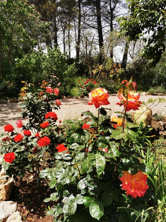 La Maison Du Soleil Provence دْراجينْيا المظهر الخارجي الصورة