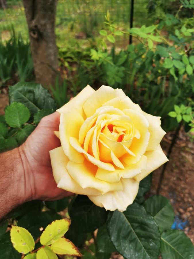 La Maison Du Soleil Provence دْراجينْيا المظهر الخارجي الصورة